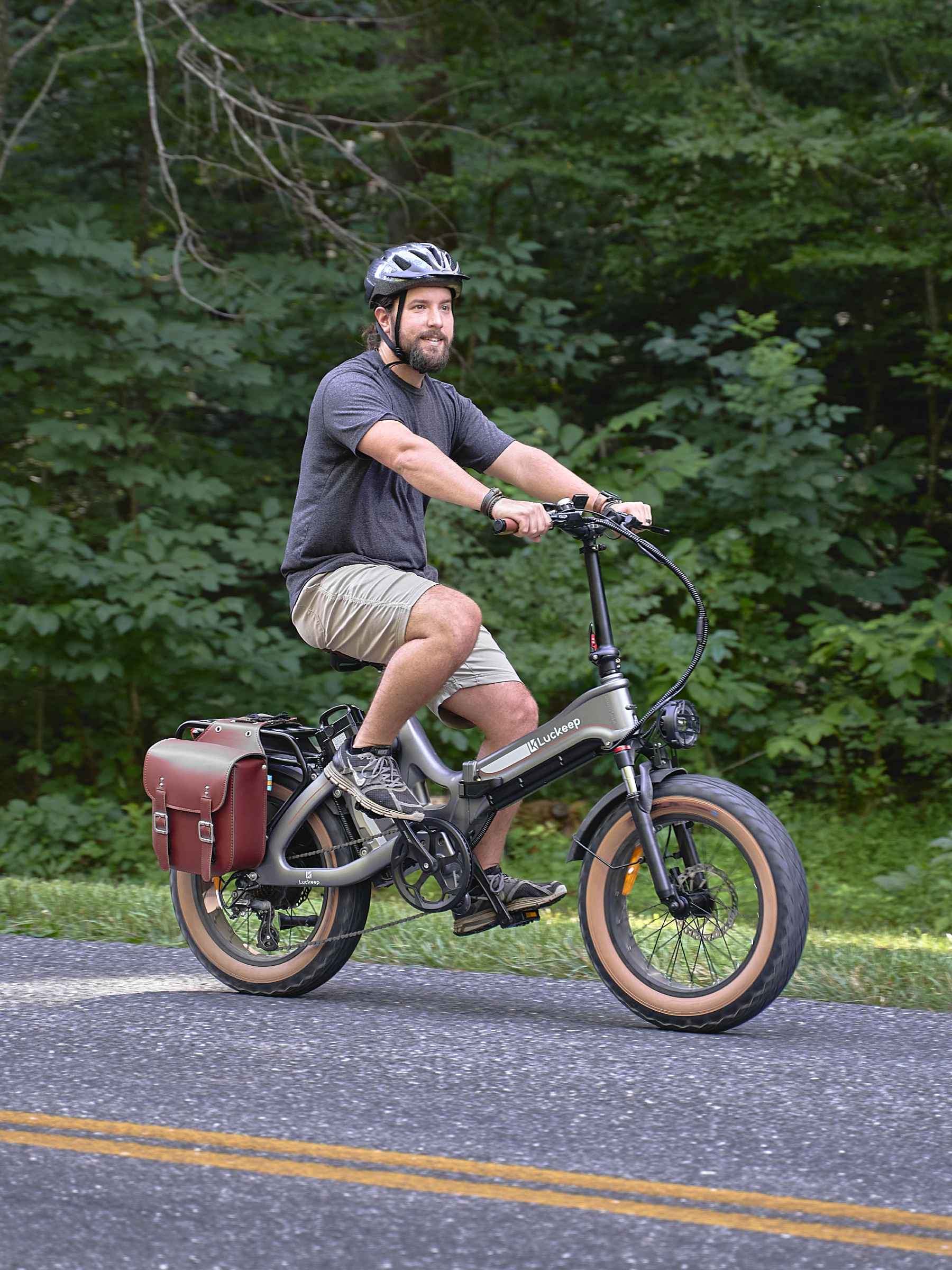 fat tire folding electric bike
