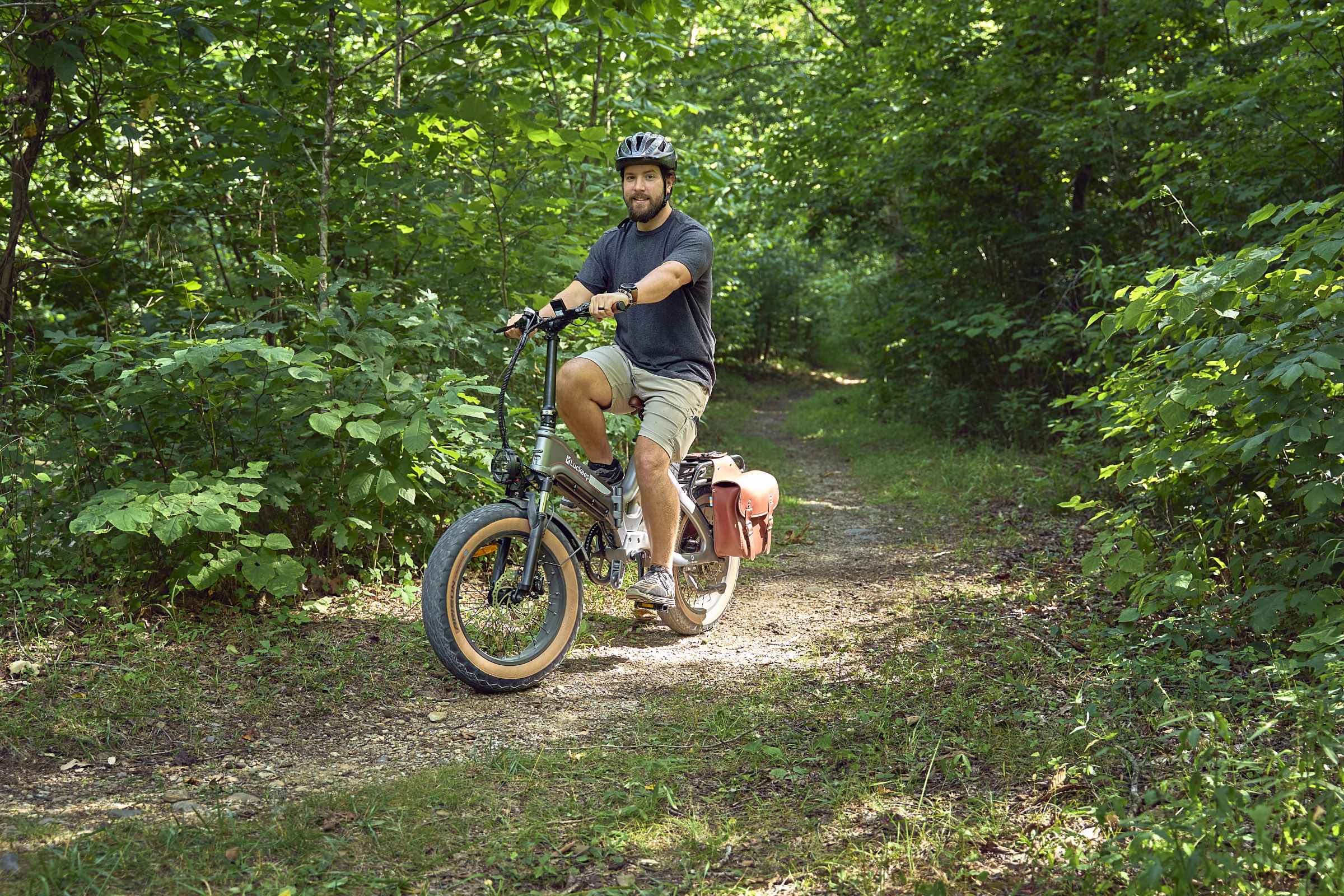 fat tire folding electric bike