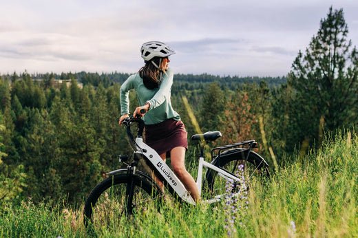 5 Best 750-Watt Electric Bikes in 2024! - Luckeep