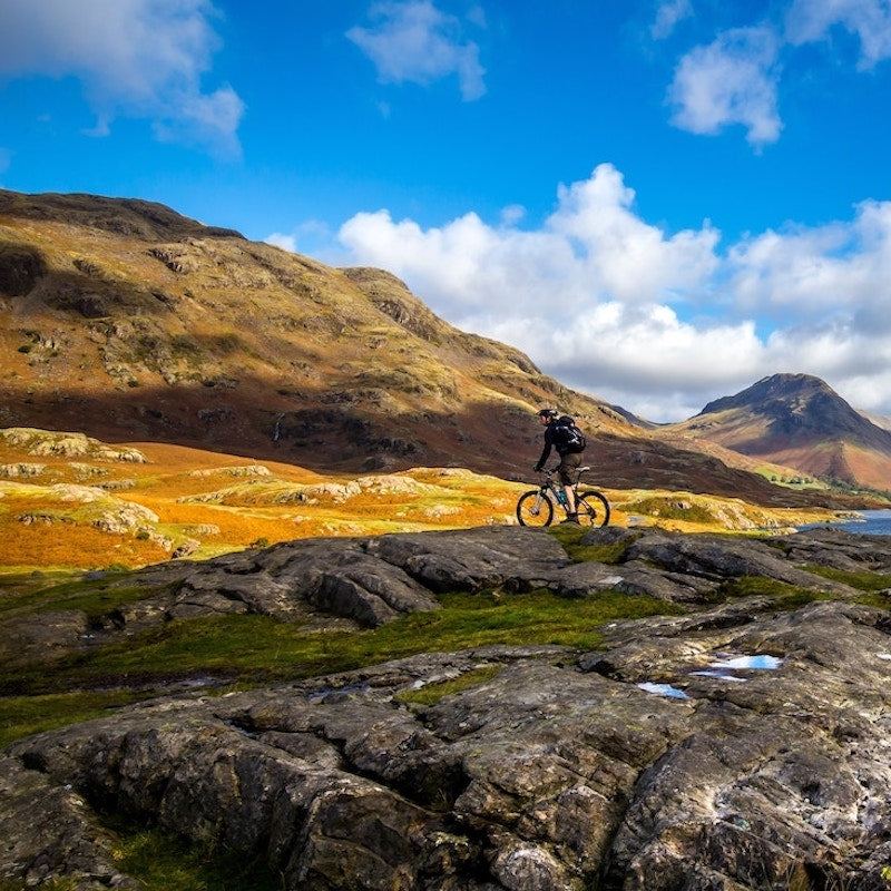 Pedaling Away from Anxiety—Cycling and Mental Health