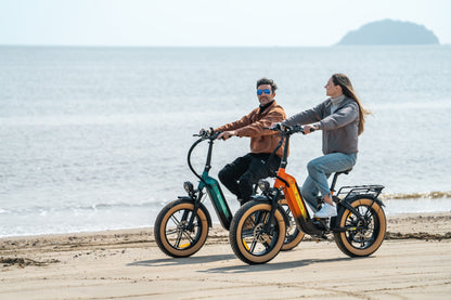Luckeep X3 Step - thru Fat Tire ebike - Luckeep