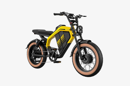 dual motor electric dirt bike