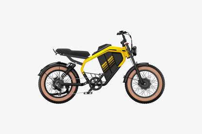 adult electric motorbike