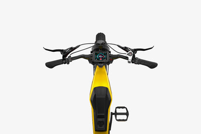 electric motorbike overlooking